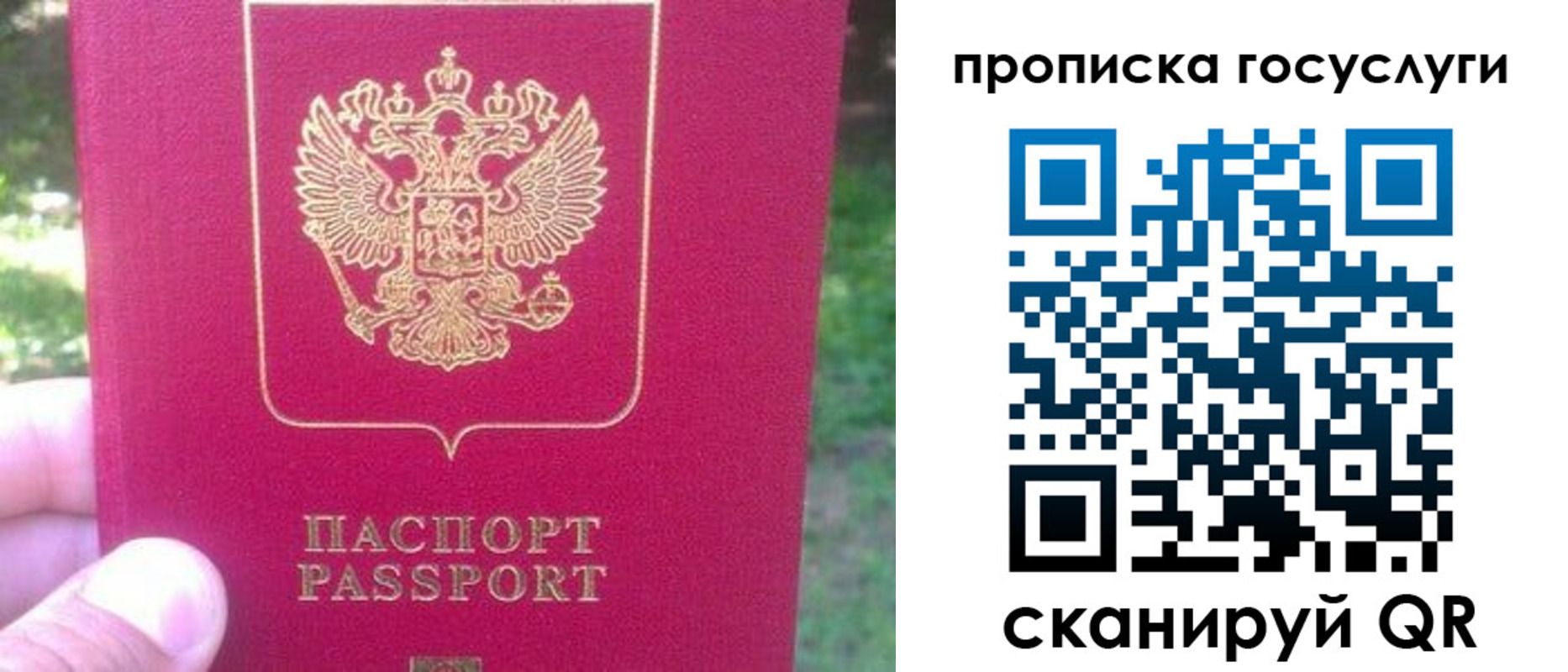 временная регистрация собственник в Белгородской области
